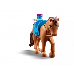 LEGO Friends 41446 Veterinární klinika v městečku Heartlake