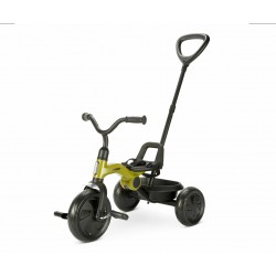 Qplay Tricycle Ant Plus zelená