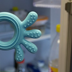 Babyono Silikonové kousátko Octopus modrá