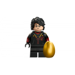 Lego Harry Potter 76406 Maďarský trnoocasý drak