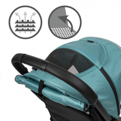 Kidwell COLMER Royal green