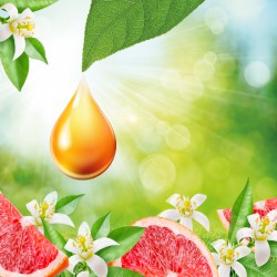 Air Wick Active Fresh náplň na vodní bázi do automatického difuzéru - grapefruit a pomerančový květ