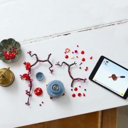 LEGO Botanicals Meruňka japonská 10369