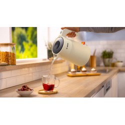 Bosch TWK 2M167
