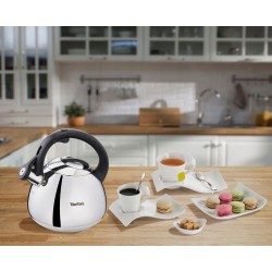 Tefal K2481574 neelektrická konvice