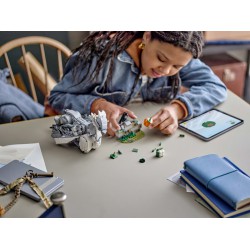 Lego Harry Potter Klofan 76427