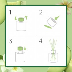 Air Wick Vonné tyčinky šťavnatý meloun & exotická plumeria 40 ml