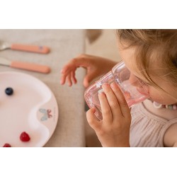 MEPAL Dětská sklenička 250ML MIO FAIRY GARDEN