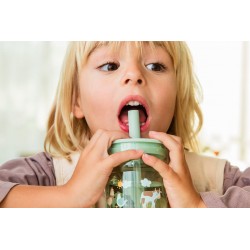 MEPAL Dětská sklenice s brčkem MIO 250ML FAIRY GARDEN