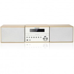 BLAUPUNKT MS45BT