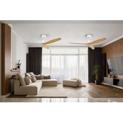 Zelmer ZCF5600