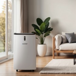 Blaupunkt ACP616