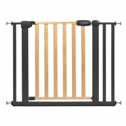 Kidwell Trasti Grafit