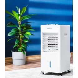 Zelmer ZCL6030