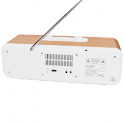 Blaupunkt IR50DAB