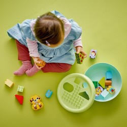 LEGO® DUPLO® 10441 Třídění tvarů Domeček pro štěňátka
