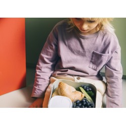 Mepal Dětský svačinový box Campus 1,3 l dinosaurus