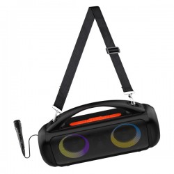 Přenosný POWER AUDIO PRO MT3184