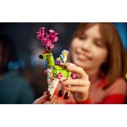 Lego Dreamzzz Stáj snových stvoření 71459