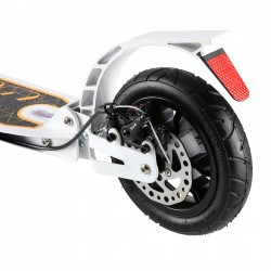 Nils Extreme HM209T bílá-zlatá