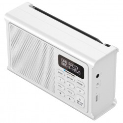 Blaupunkt DR3WH DAB
