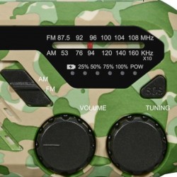 Blaupunkt ER10GC