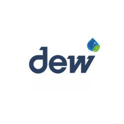 Dew